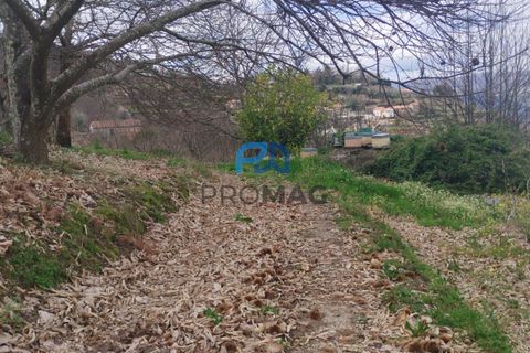 Terra a Resende, Viseu, Resende - € 55.000 | Ref: #278 - foto 30