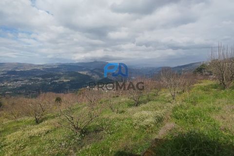 Terra a Resende, Viseu, Resende - € 55.000 | Ref: #278 - foto 31