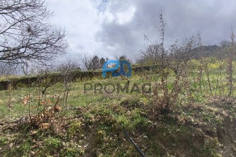 Terra a Resende, Viseu, Resende - € 55.000 | Ref: #278 - foto 32