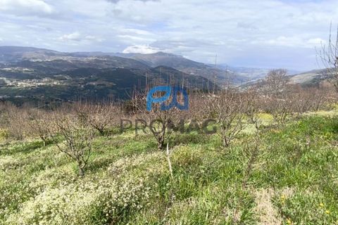 Terra a Resende, Viseu, Resende - € 55.000 | Ref: #278 - foto 33