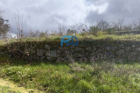 Terra a Resende, Viseu, Resende - € 55.000 | Ref: #278 - foto 34