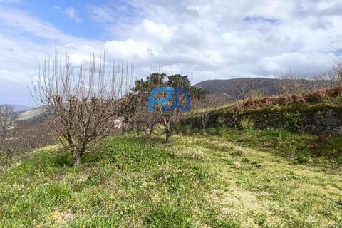 Terra a Resende, Viseu, Resende - € 55.000 | Ref: #278 - foto 35