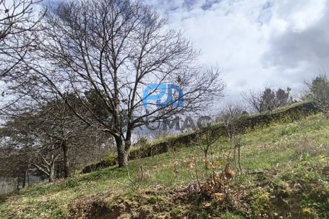 Terra a Resende, Viseu, Resende - € 55.000 | Ref: #278 - foto 36