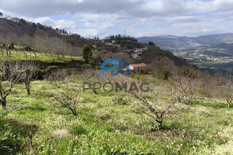 Terra a Resende, Viseu, Resende - € 55.000 | Ref: #278 - foto 37