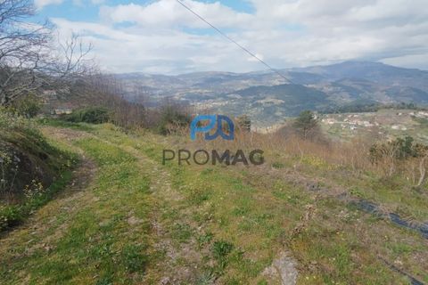 Terra a Resende, Viseu, Resende - € 55.000 | Ref: #278 - foto 45