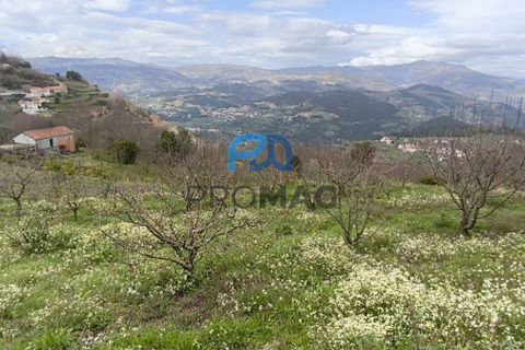 Terra a Resende, Viseu, Resende - € 55.000 | Ref: #278 - foto 46
