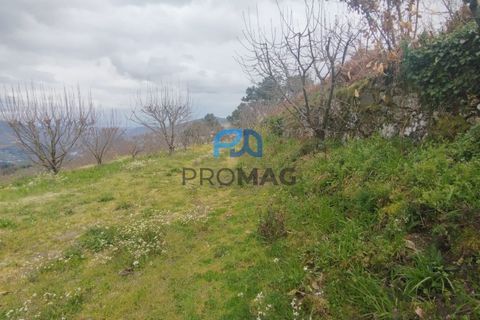 Terra a Resende, Viseu, Resende - € 55.000 | Ref: #278 - foto 47