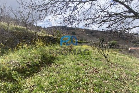 Terra a Resende, Viseu, Resende - € 55.000 | Ref: #278 - foto 48