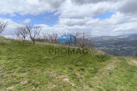 Terra a Resende, Viseu, Resende - € 55.000 | Ref: #278 - foto 49