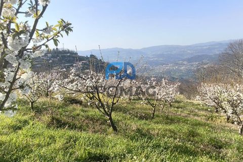 Terra a Resende, Viseu, Resende - € 55.000 | Ref: #278 - foto 7