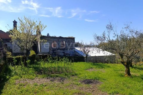 Villa i Tabua, Coimbra, Tabua - € 29.000 | Ref: RR98876 - foto 3