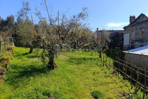 Villa i Tabua, Coimbra, Tabua - € 29.000 | Ref: RR98876 - foto 8