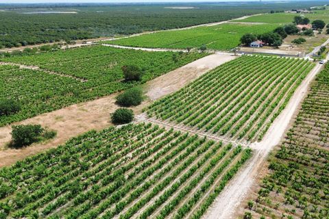 Helårsgrund i Palmela, Setubal, Palmela - € 128.800 | Ref: 1782-02416 - foto 4