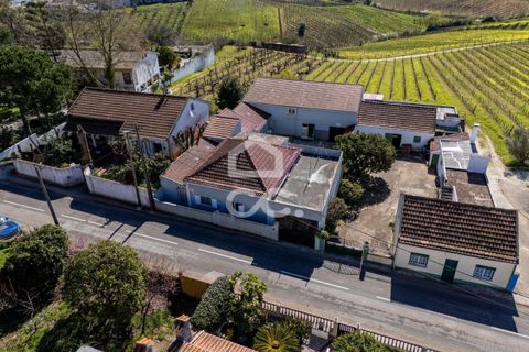 Villa i Cadaval, Lisbon, Cadaval - € 250.000 | Ref: 321/M/01268 - foto 30