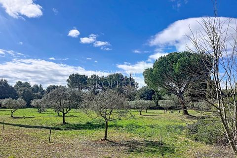 Villa i Cotignac, Var, Cotignac - € 885.000 | Ref: 1261 - foto 6
