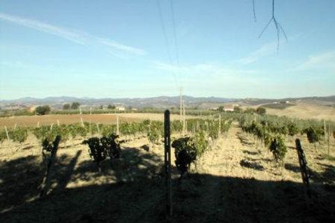 Farm hus i Cinigiano, Grosseto, Cinigiano - € 390.000 | Ref: a2617ta2474697a - foto 17