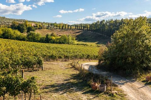 Farm hus i Reggello, Florence, Reggello - € 1.300.000 | Ref: a1190rc18307 - foto 3
