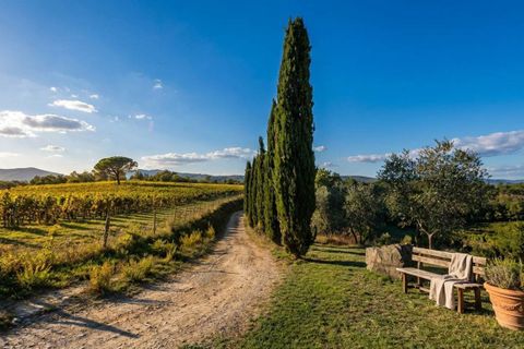 Farm hus i Reggello, Florence, Reggello - € 1.300.000 | Ref: a1190rc18307 - foto 5