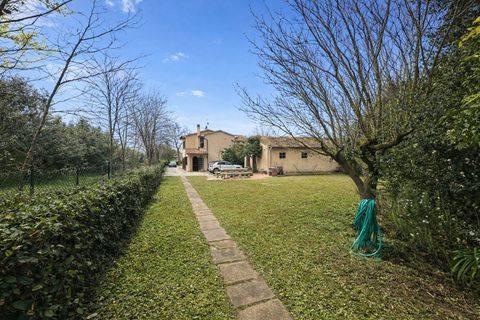 Lejlighed i Cecina, Livorno, Cecina - € 569.000 | Ref: a9591sr018 - foto 18