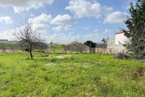 Villa i Cadaval, Lisbon, Cadaval - € 390.000 | Ref: 2180 - foto 8