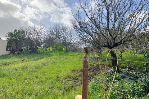 Villa i Cadaval, Lisbon, Cadaval - € 390.000 | Ref: 2180 - foto 9