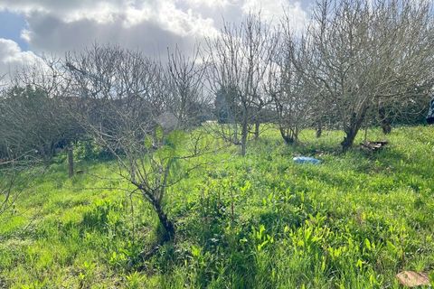 Villa i Cadaval, Lisbon, Cadaval - € 390.000 | Ref: 2180 - foto 10