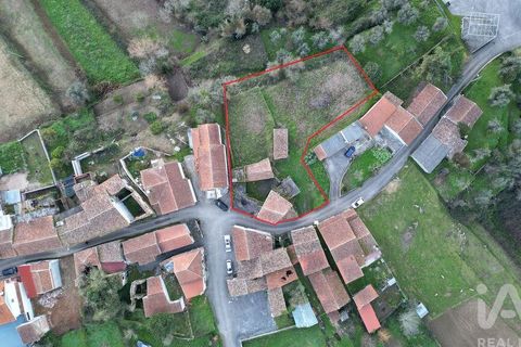 Byhus i Miranda do Corvo, Coimbra, Miranda do Corvo - € 80.000 | Ref: 147303 - foto 25