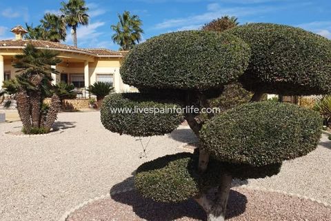 Landejendom i Catral, Alicante, Catral - € 369.000 | Ref: Cat HSP - foto 6