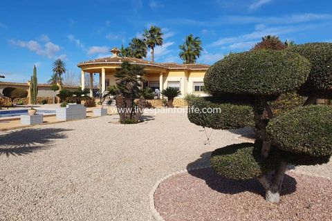 Landejendom i Catral, Alicante, Catral - € 369.000 | Ref: Cat HSP - foto 14