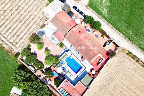 Landejendom i Dolores, Alicante, Dolores - € 649.000 | Ref: DOL FAR1 - foto 3