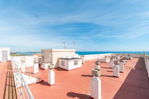 Lejlighed i Punta Prima, Alicante, Punta Prima - € 229.000 | Ref: CM297 - foto 24