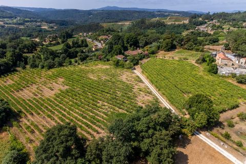 Villa i Vedra, Coruna, Vedra - € 1.000.000 | Ref: 14018-IVN/2912 - foto 25
