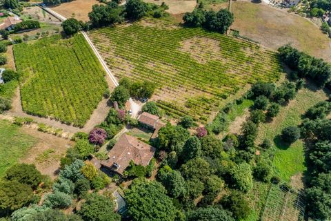 Villa i Vedra, Coruna, Vedra - € 1.000.000 | Ref: 14018-IVN/2912 - foto 29