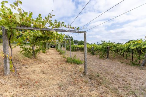 Villa i Vedra, Coruna, Vedra - € 1.000.000 | Ref: 14018-IVN/2912 - foto 49