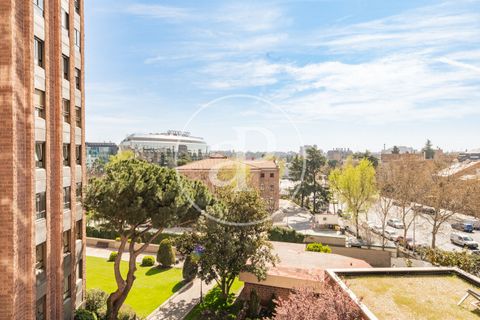 Leilighet i Madrid, Madrid, Madrid - € 1 395 000 | Ref: VM2603079 - foto 36