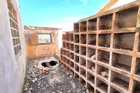 Masia a Yecla, Murcia, Yecla - € 31.900 | Ref: 11349-PB - foto 7