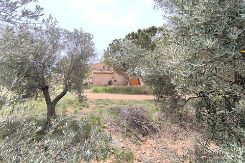 Masia a Yecla, Murcia, Yecla - € 31.900 | Ref: 11349-PB - foto 16