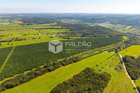 Helårsgrund i Santarem, Santarem, Santarem - € 650.000 | Ref: FR1091 - foto 6
