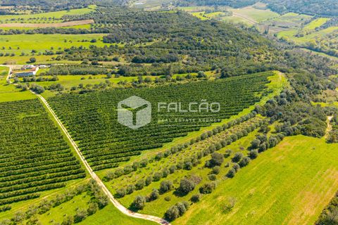 Helårsgrund i Santarem, Santarem, Santarem - € 650.000 | Ref: FR1091 - foto 7