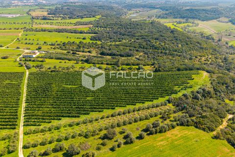 Helårsgrund i Santarem, Santarem, Santarem - € 650.000 | Ref: FR1091 - foto 8