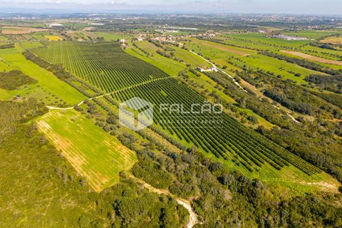 Helårsgrund i Santarem, Santarem, Santarem - € 650.000 | Ref: FR1091 - foto 10