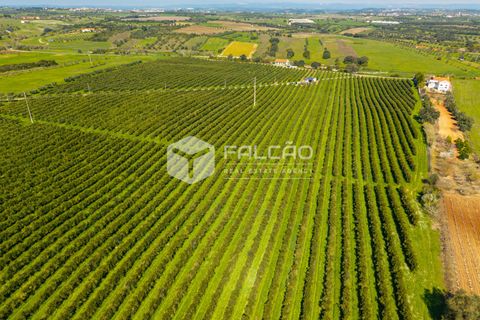 Helårsgrund i Santarem, Santarem, Santarem - € 650.000 | Ref: FR1091 - foto 20