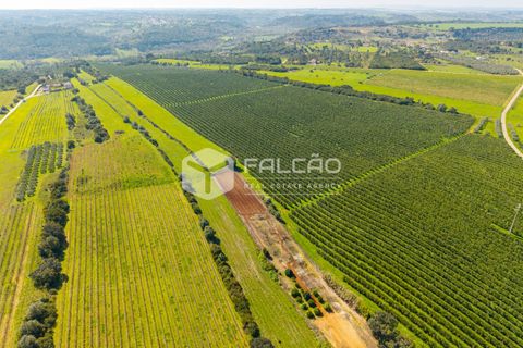 Helårsgrund i Santarem, Santarem, Santarem - € 650.000 | Ref: FR1091 - foto 21