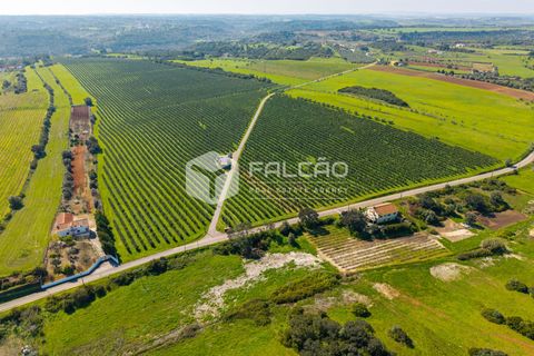 Helårsgrund i Santarem, Santarem, Santarem - € 650.000 | Ref: FR1091 - foto 22