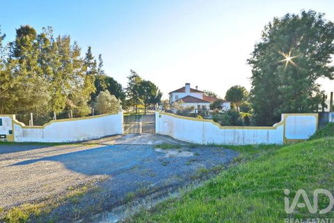Byhus i Alcacer do Sal, Setubal, Alcacer do Sal - € 1.500.000 | Ref: 69522 - foto 26