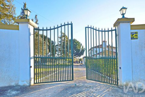 Byhus i Alcacer do Sal, Setubal, Alcacer do Sal - € 1.500.000 | Ref: 69522 - foto 27