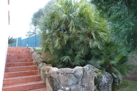 Villa i Calonge, Gerona, Calonge - € 1.050.000 | Ref: 115 - foto 41