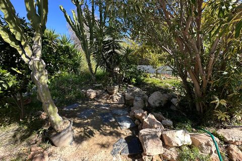 Villa a La Marina, Alicante, La Marina - € 365.000 | Ref: SP4788 - foto 33