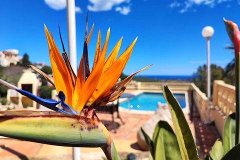 Villa i Benitachell, Alicante, Benitachell - € 450 000 | Ref: CDSVV-2530 - foto 42