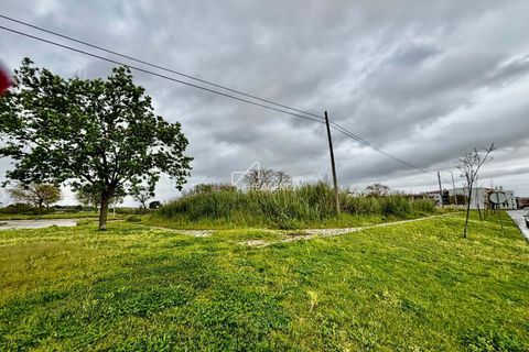 Helårsgrund i Benavente, Santarem, Benavente - € 179.000 | Ref: TAPT01-1265_IS_SAC - foto 5